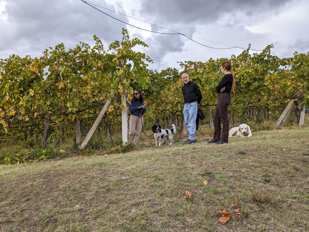 The tour guide Leonore, Paul, language instructor Agnese, and two dogs in a vineyard