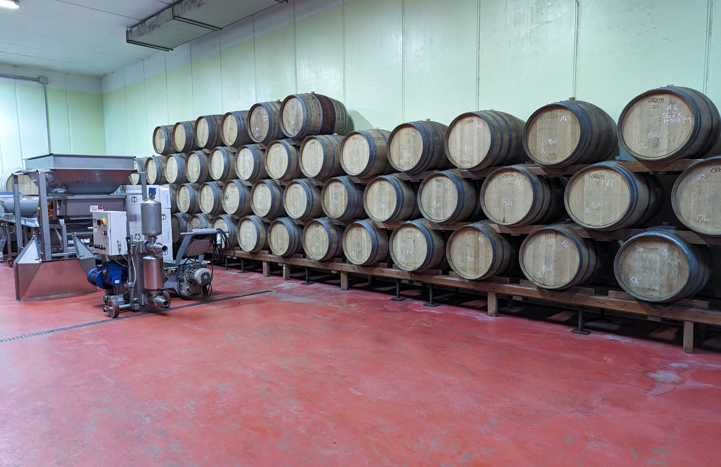 Oak barrels lined up against a wall