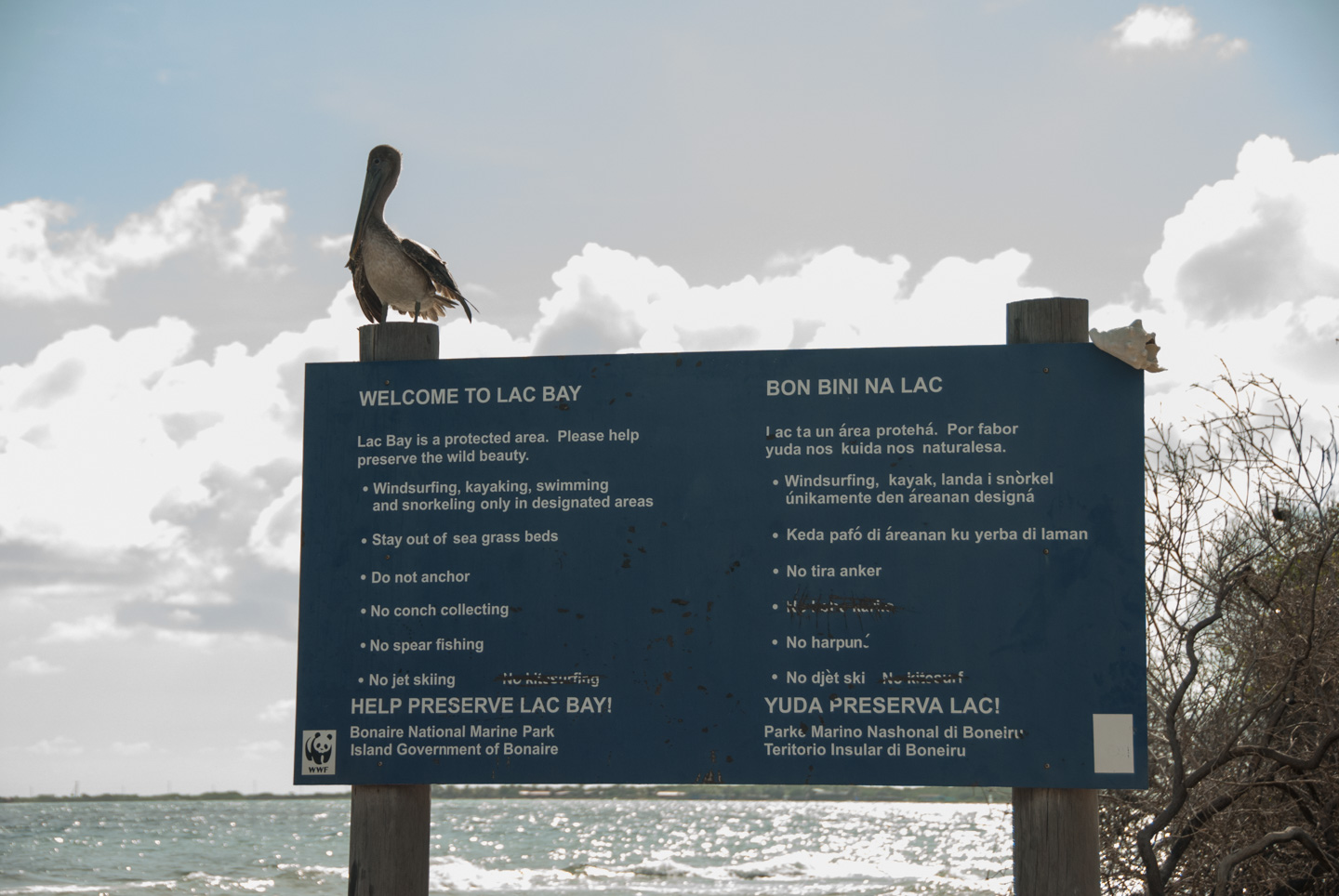 Pelican on Lac Bay sign