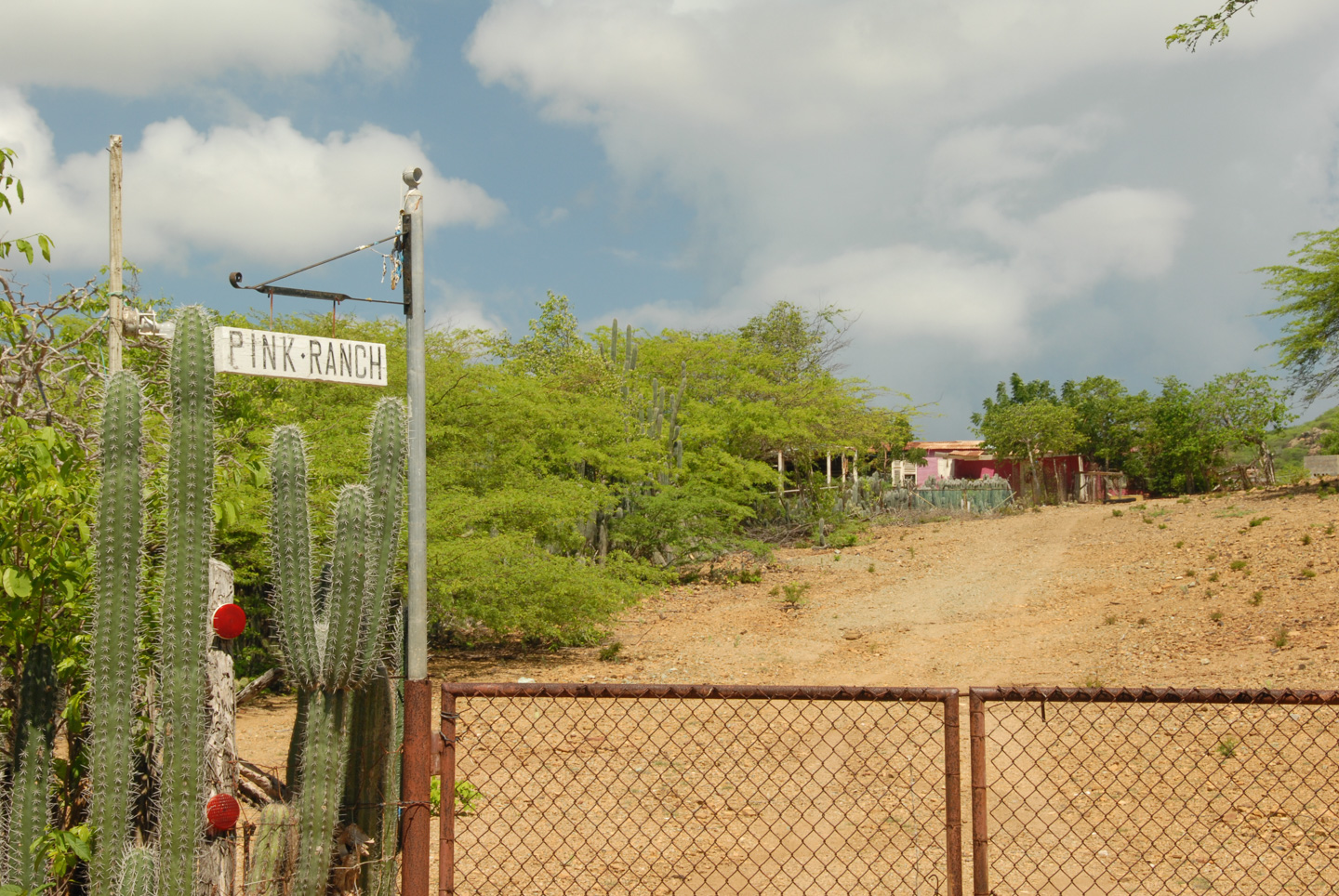 Pink Ranch Bonaire