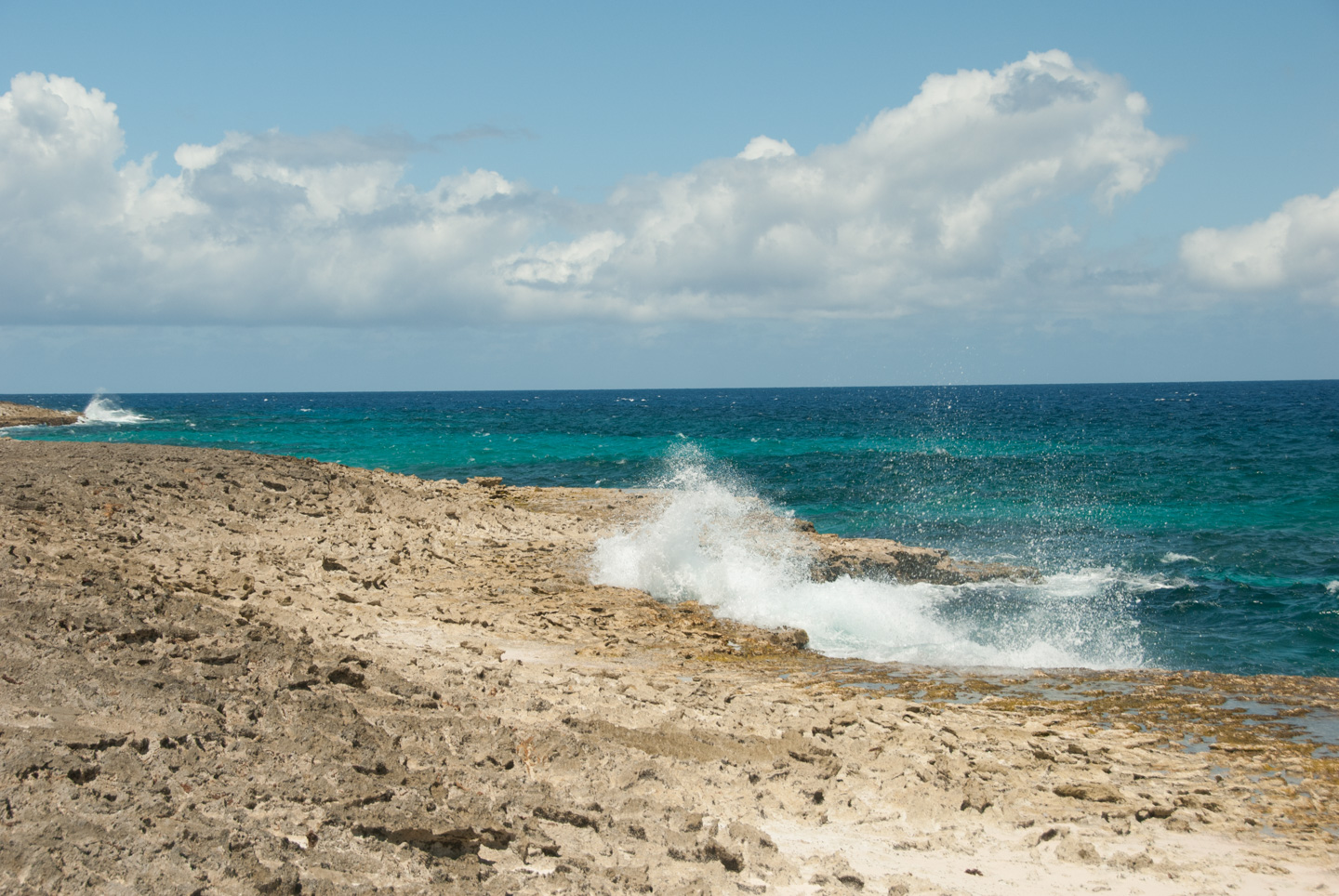 Washington Slagbaai Park, Bonaire