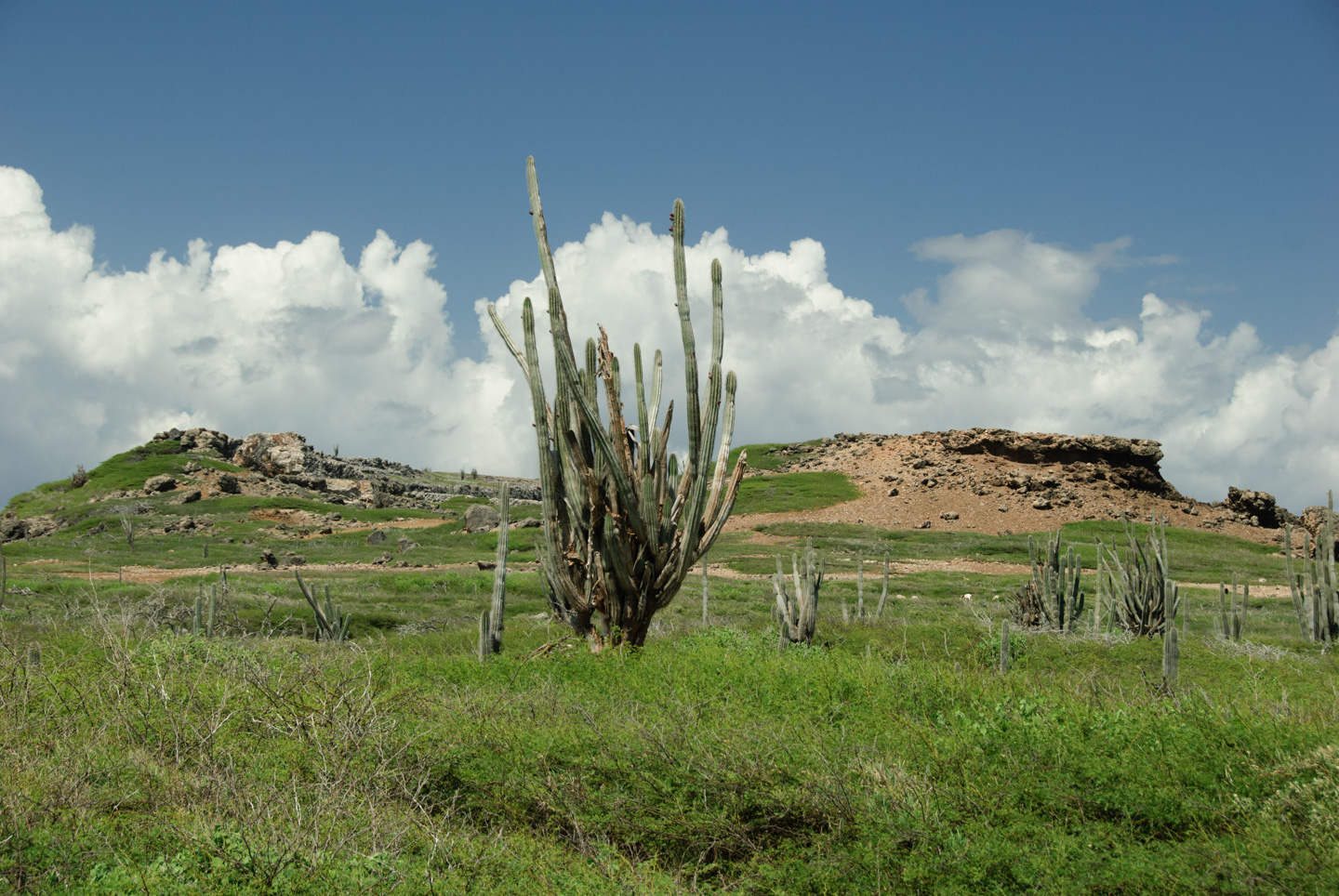 Washington Slagbaai Park, Bonaire