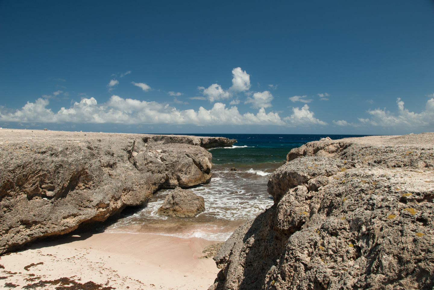Washington Slagbaai Park, Bonaire