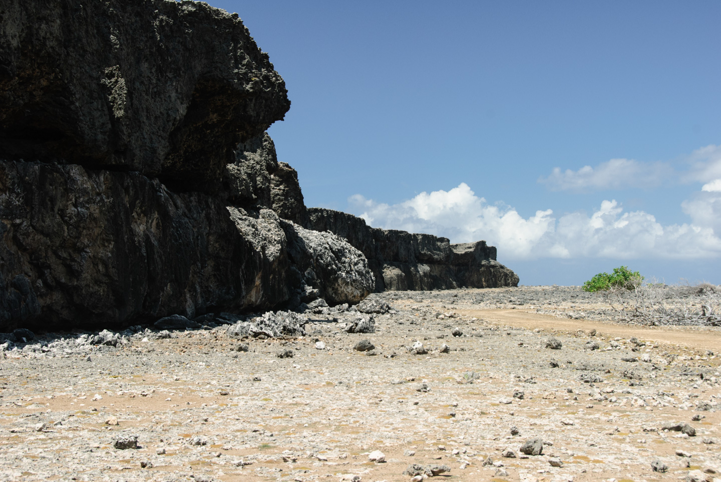 Washington Slagbaai Park, Bonaire
