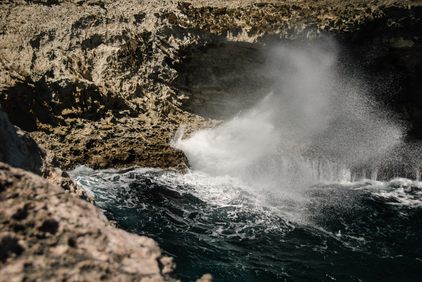 Washington Slagbaai Park, Bonaire