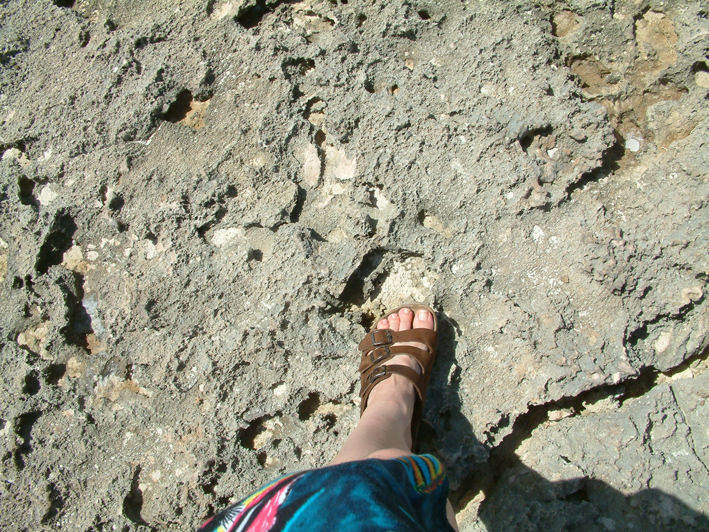 Bonaire vulcanic surface