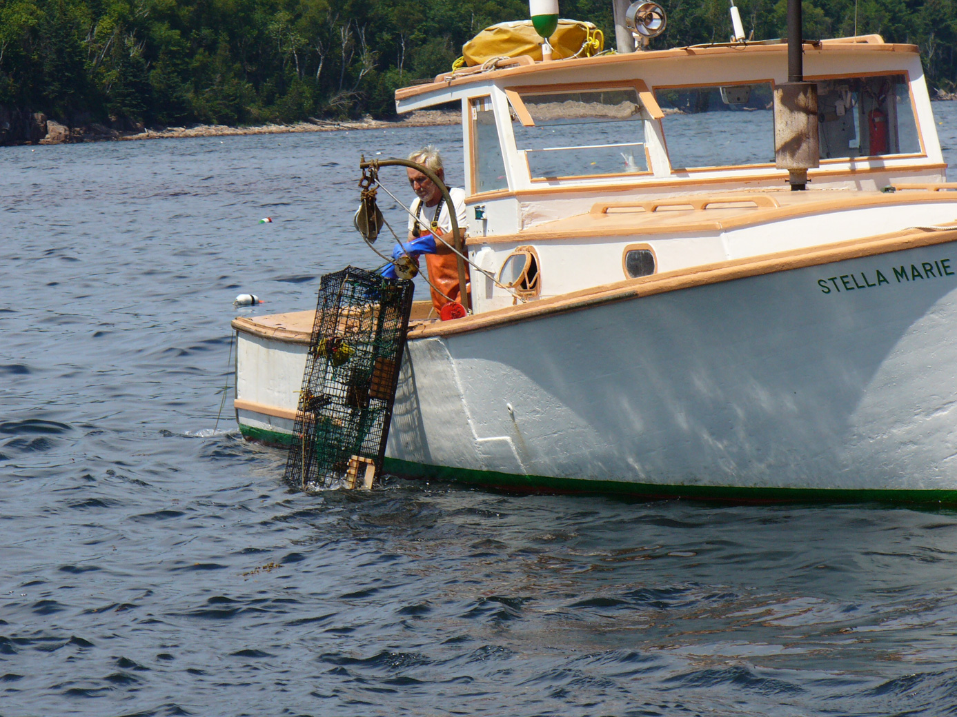 lobstering