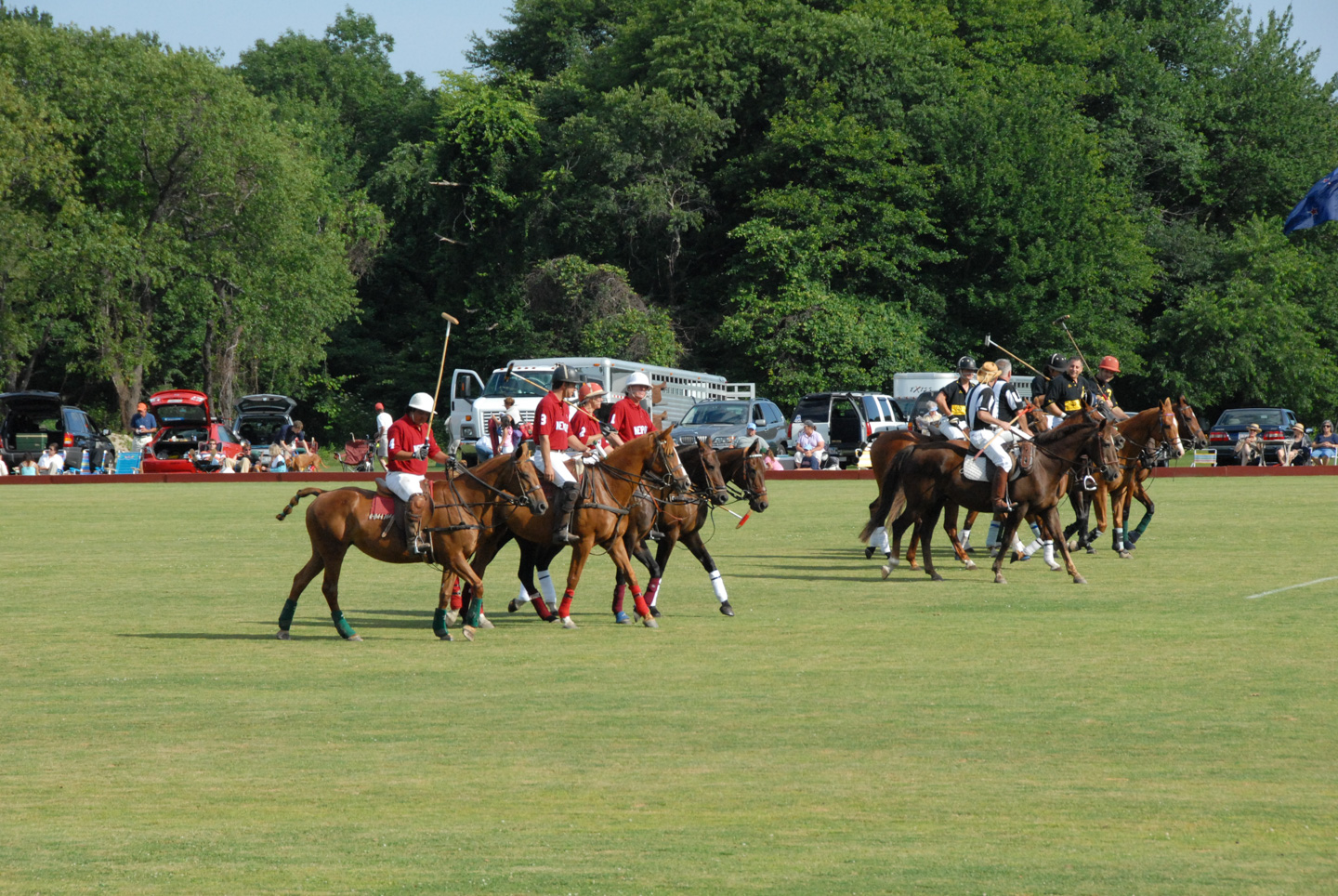 Black and Red Polo Teams