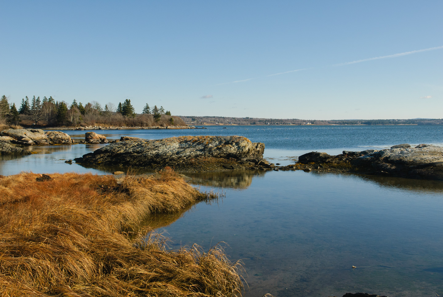 View back to mainland from Deer Isle