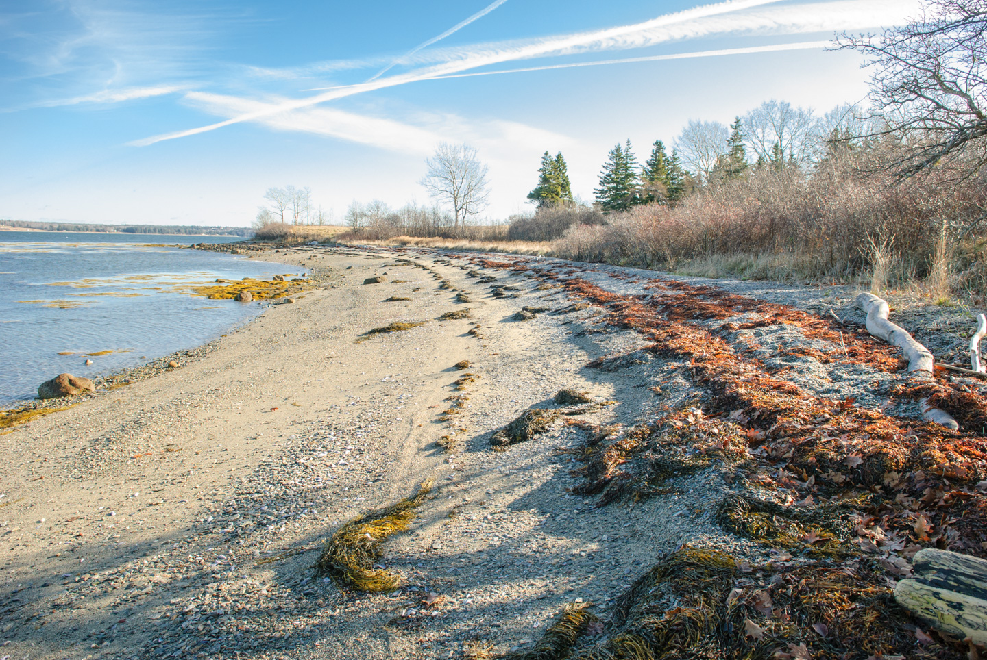 Beach at Scott's Landing