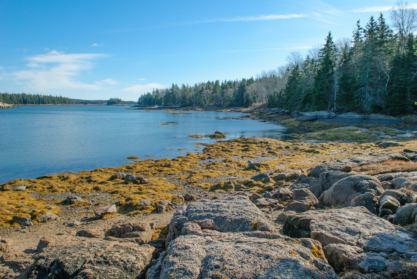 Water scene, taken at Edgar Tennis Preserve on Deer Isle