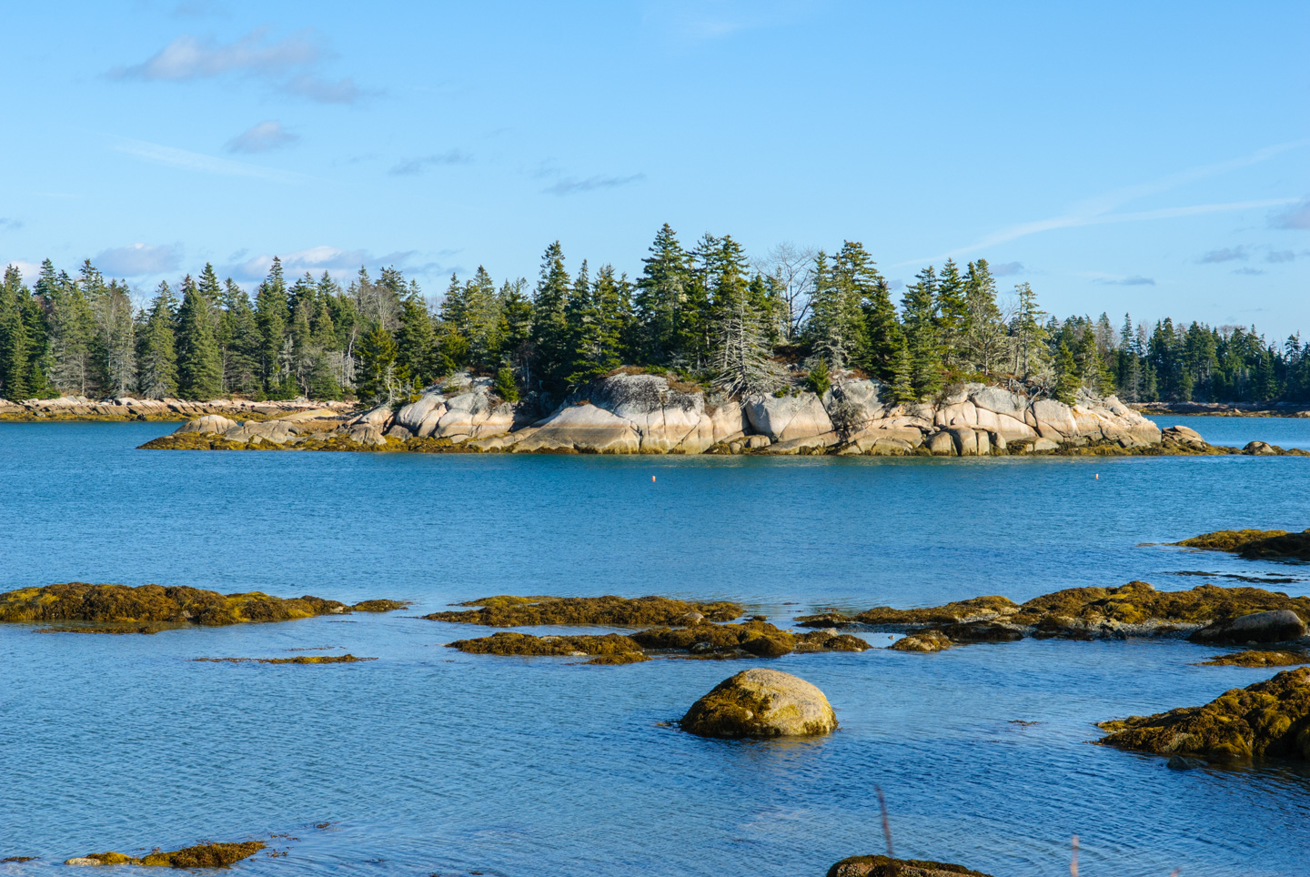 looking at land across water, taken at Edgar Tennis Preserve on Deer Isle