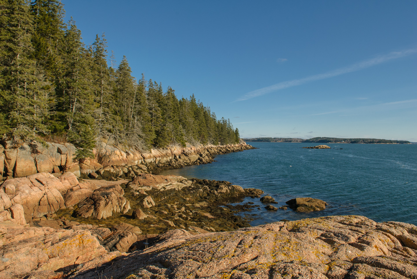 Water scene, taken at Edgar Tennis Preserve on Deer Isle