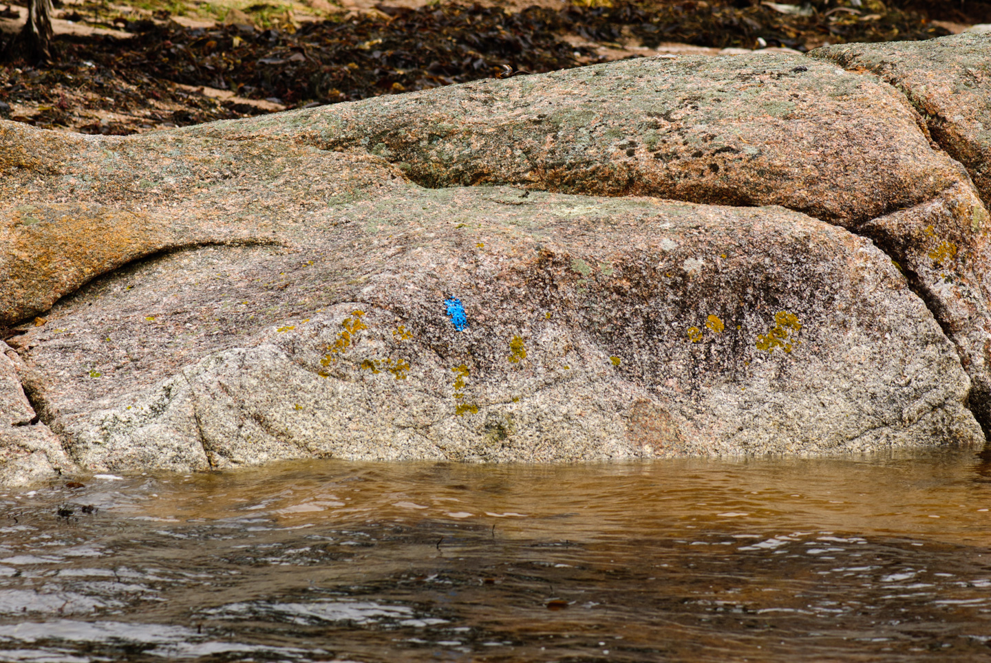 The trail goes through water