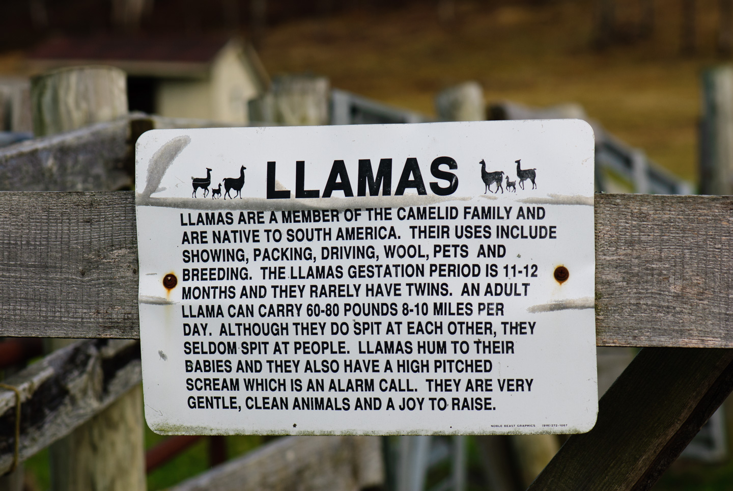 LLama sign
