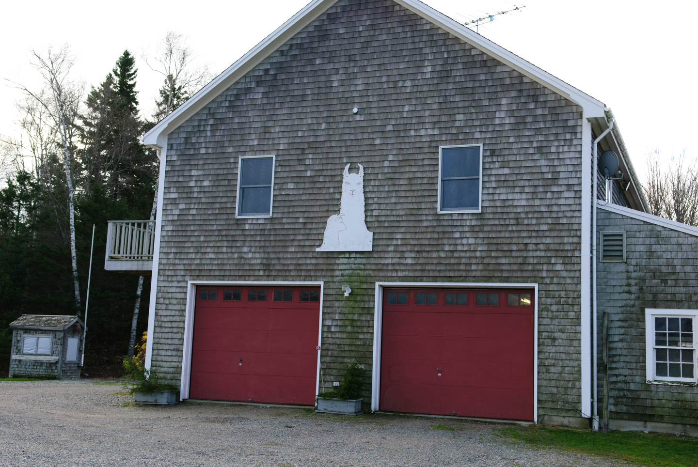 Farm garage with a llama sign above it
