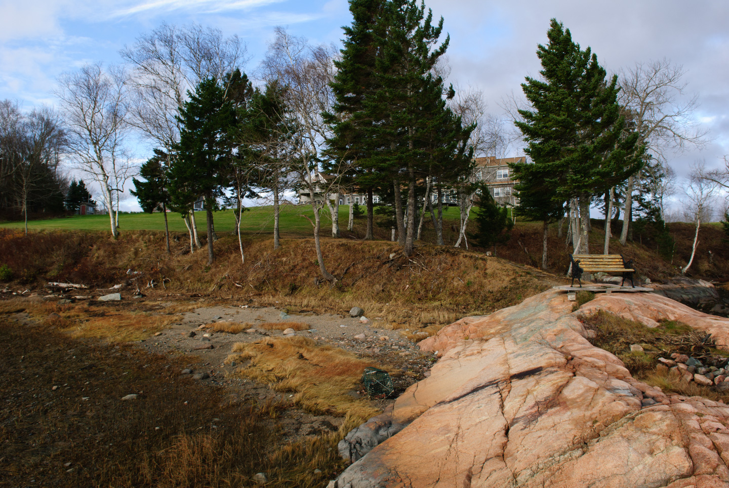Low tide at the inlet by the llama farm