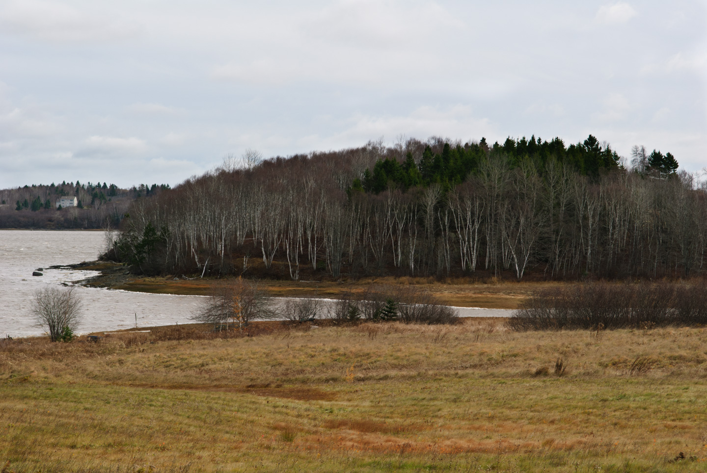 Tidal river near the llama farm