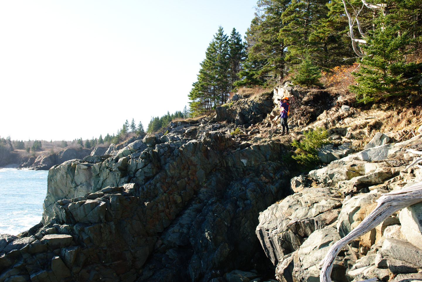 Anne in the distance with her camera