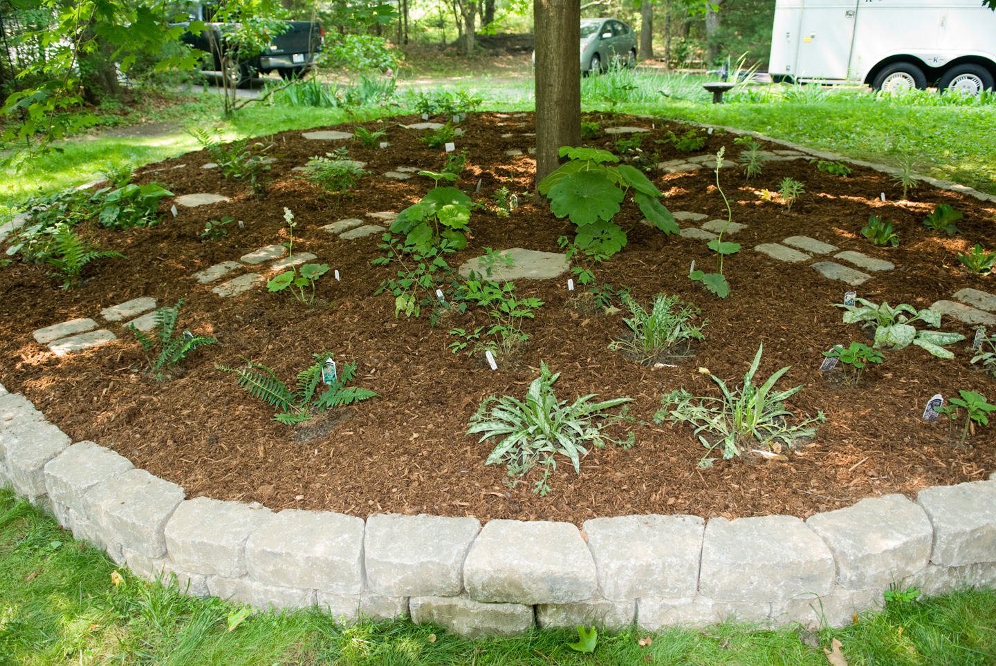 Shade garden with plants and stepping stones