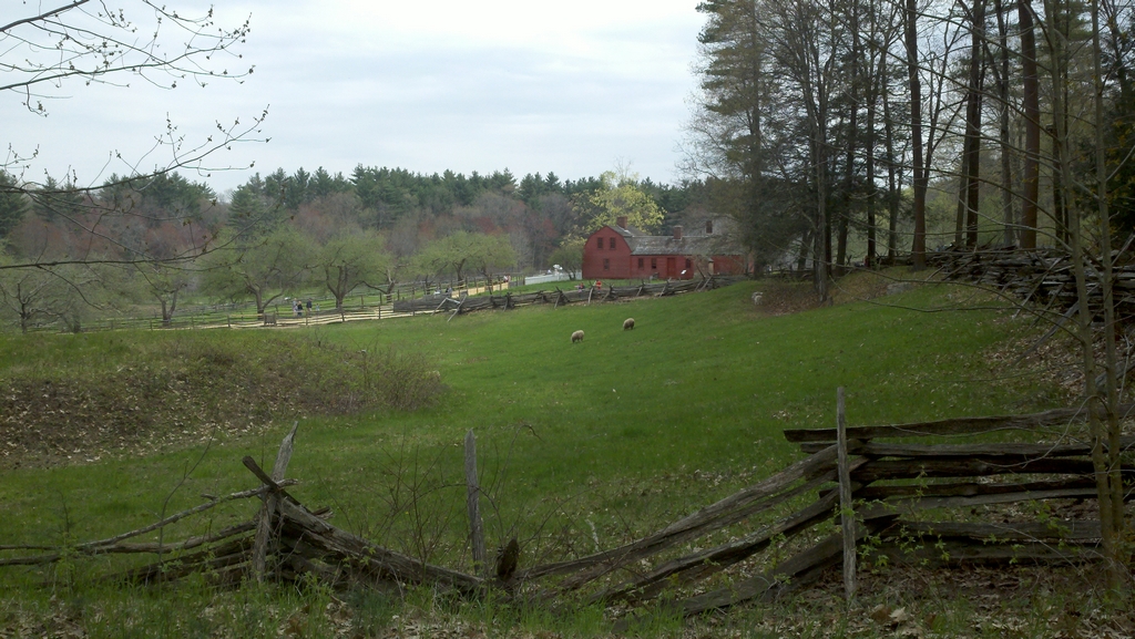 pasture land in OSV