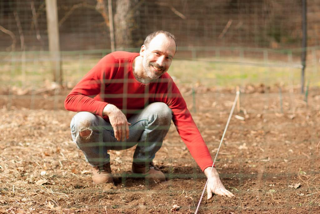 planting radish