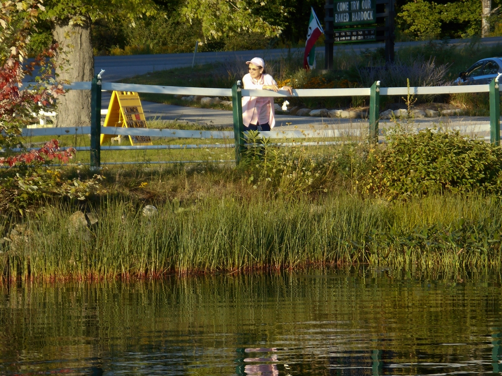 Mom waving from behind the fence across the water at Cyndi's Dockside