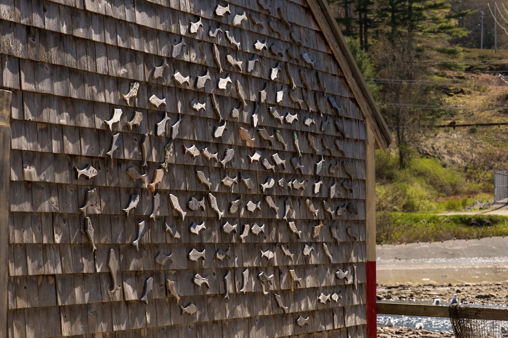 Little wooden fish arranged like a school