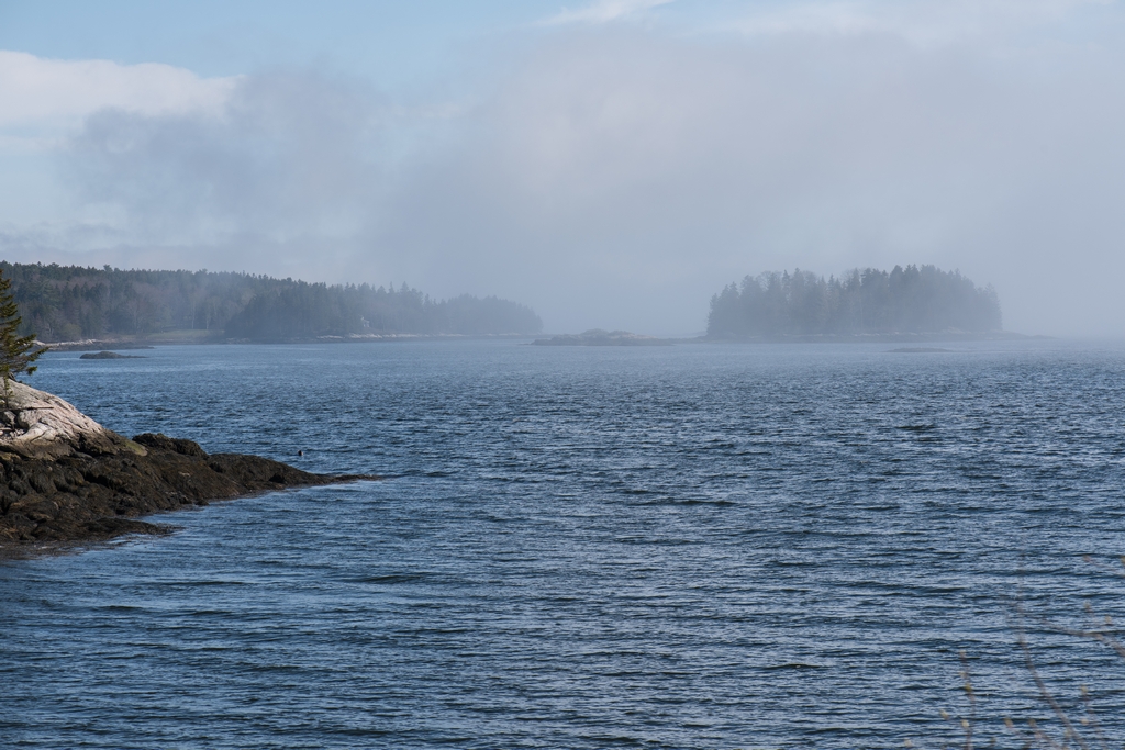 Fog rolling in