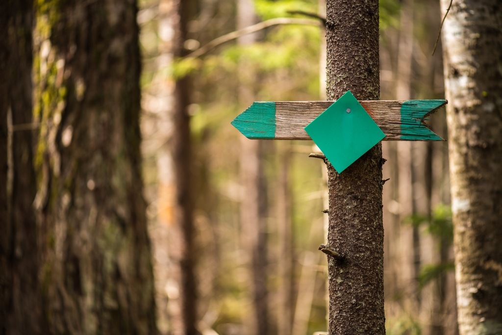 trail direction sign