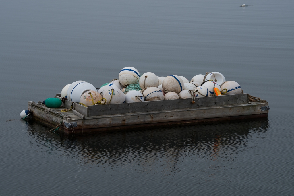 Bouys on a raft in the ocean