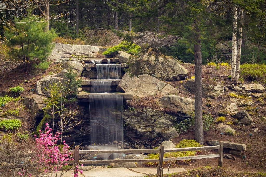 Waterfall in Maine Botanical Garden