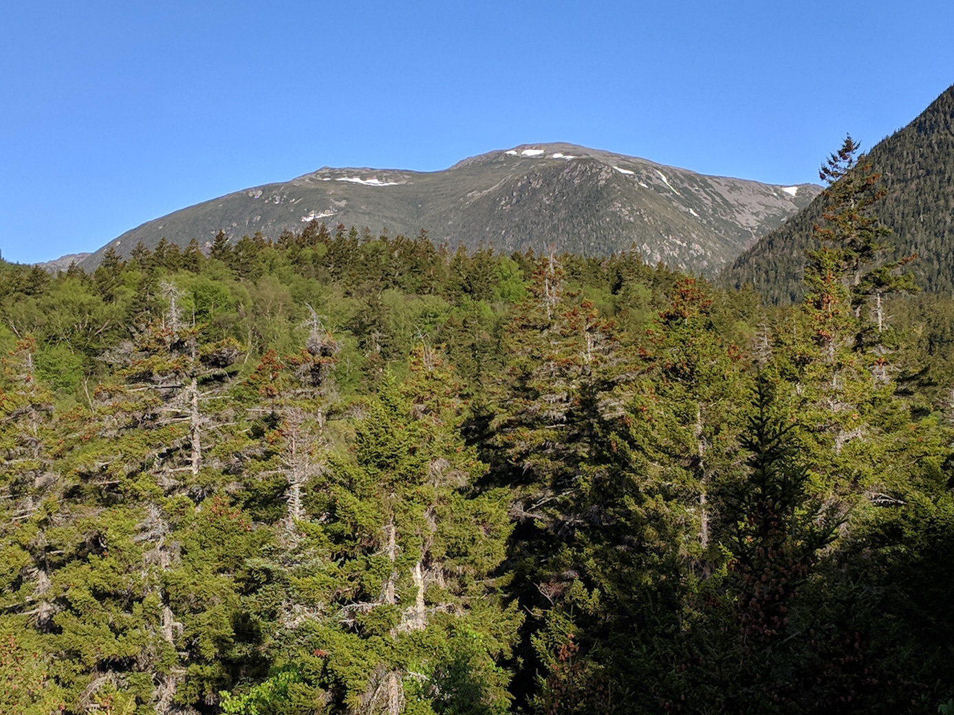 Picture that is link to photo album of Great Gulf Wilderness photographs.