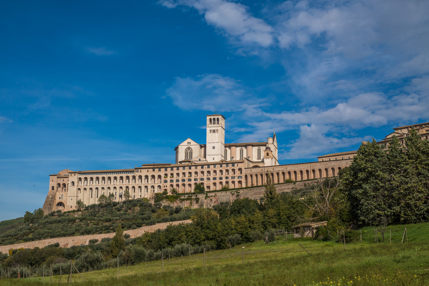 Basilica di San Francesco d'Assisi