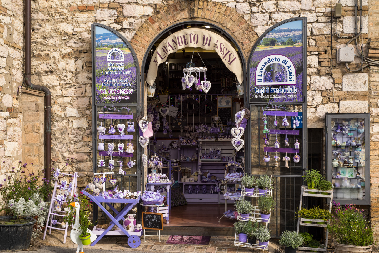 Lavender shop in Assisi