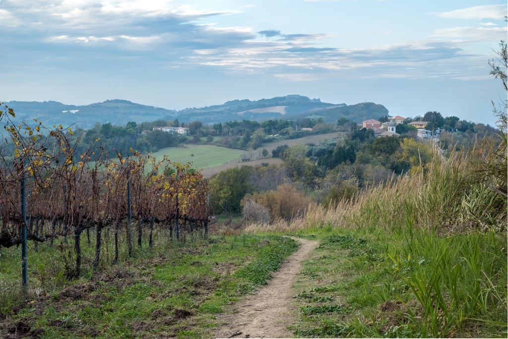 Santa Marina in the distance