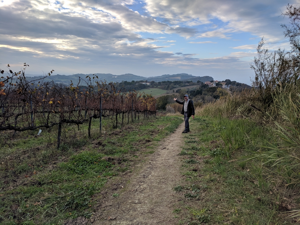 Paul in a vineyard