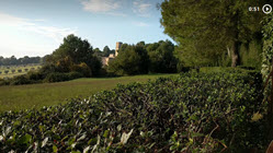 link to video of Villa Imperiale grounds