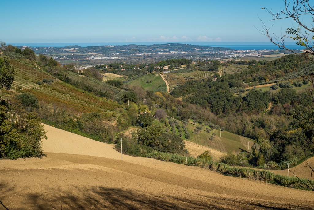 View Northeast from San Angelo