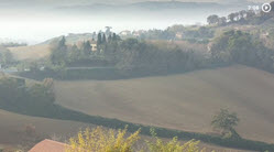 Link to Video of SantAngelo