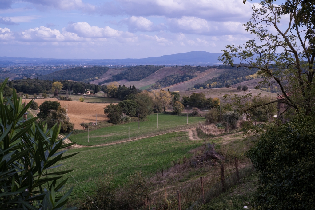 View from the farm Fattoria San Donato