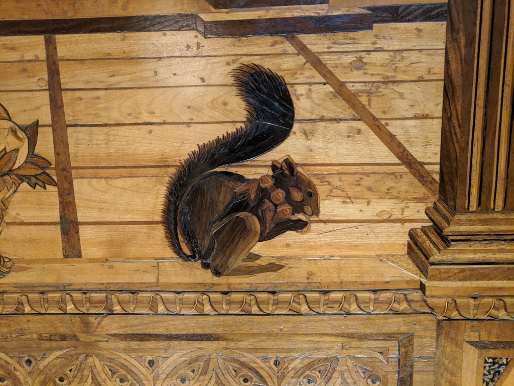 Studiolo squirrel