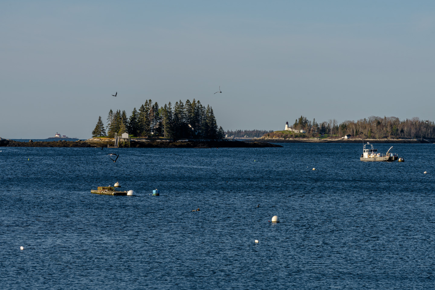 Cuckolds and Burnt Island