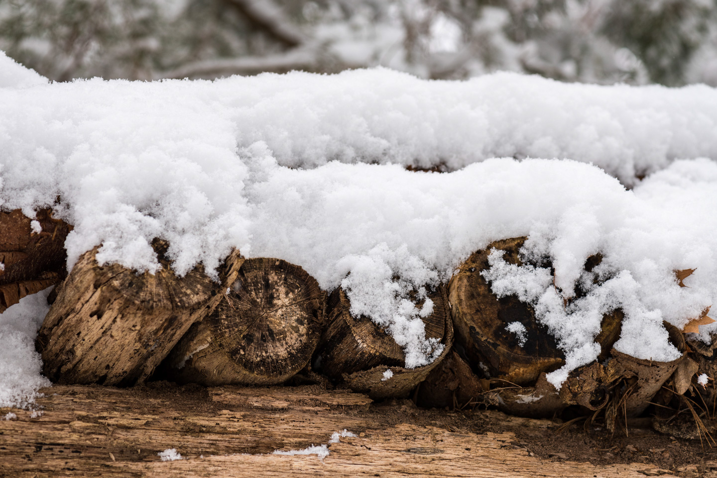 Cut wood with snow