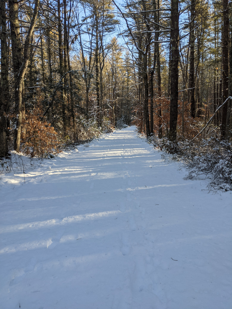 Access road to the cranberry bog