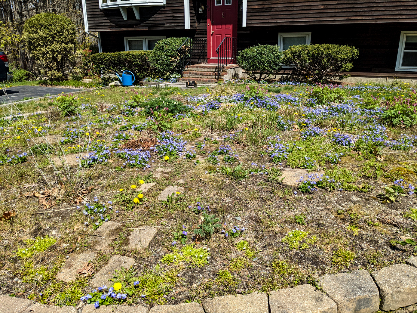 The oval garden