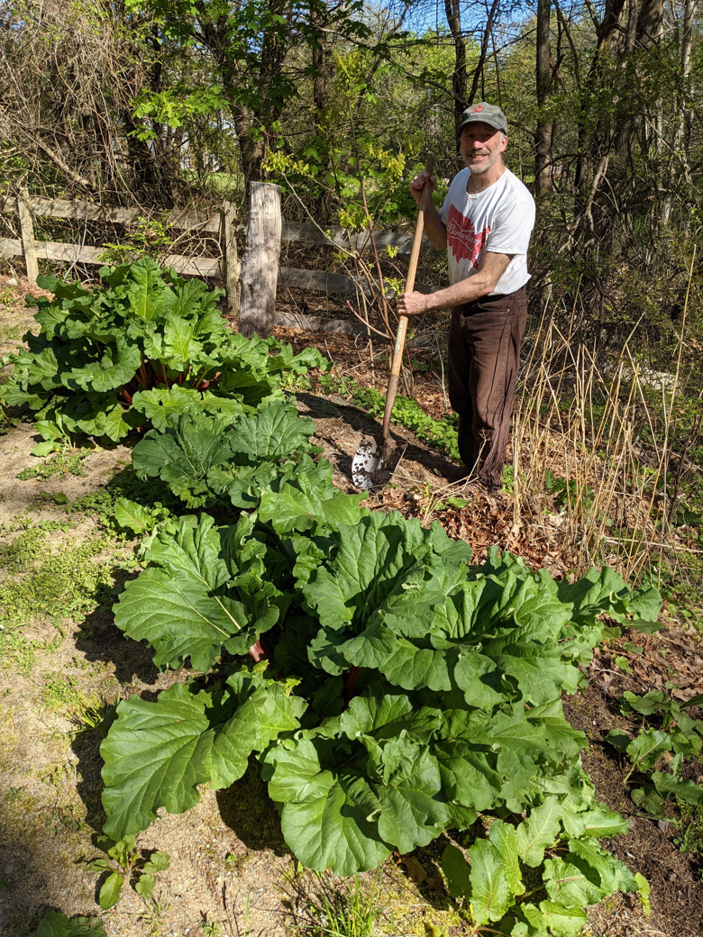 Paul and rhubarb plants