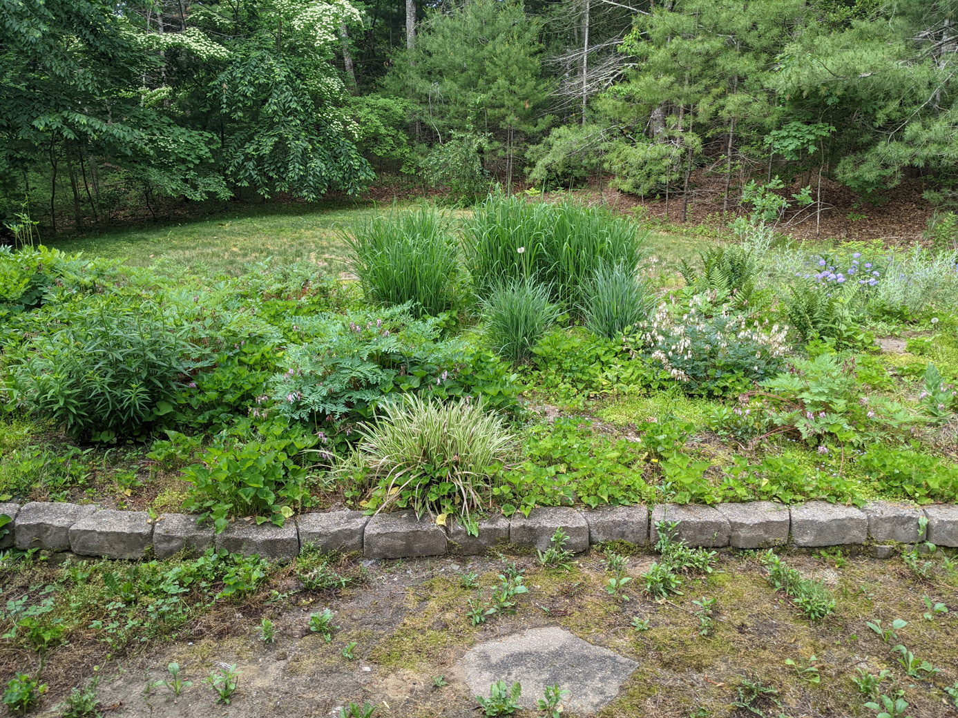 Oval Garden from ground level