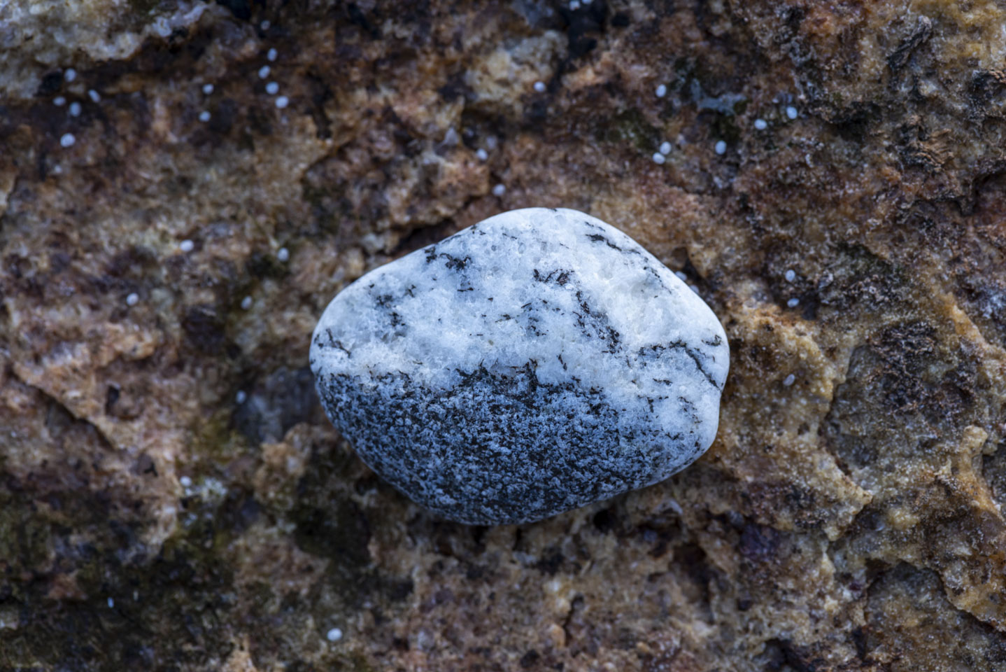 half black half white stone