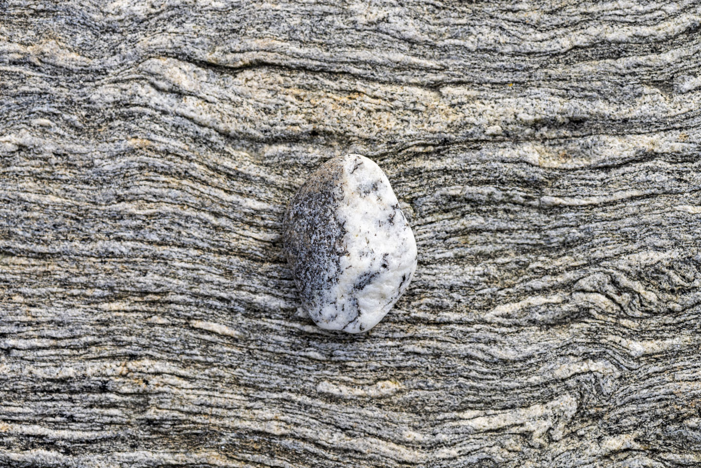 half black half white stone